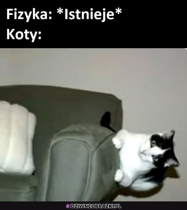Jaka fizyka?