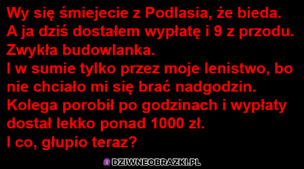 Podlaskie bogactwo