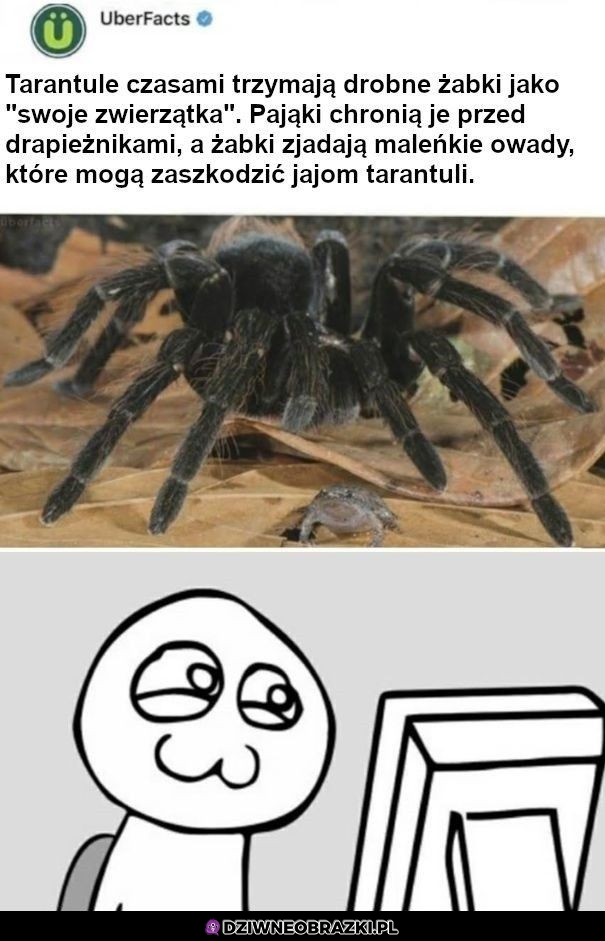 Słodko