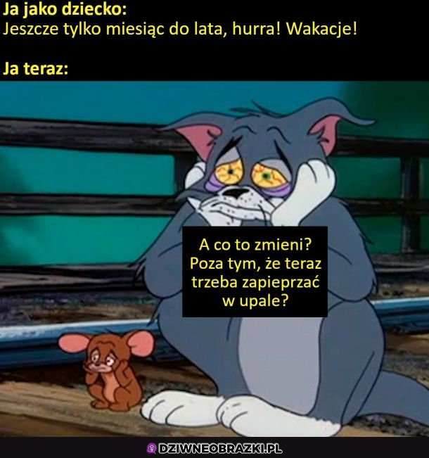 Punkt widzenia...