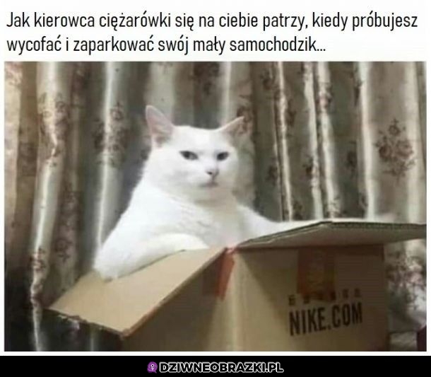 To spojrzenie