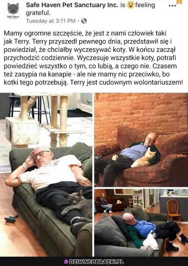 I to jest spoko gość