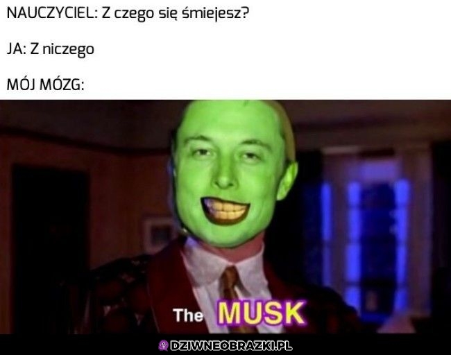 Tymczasem mój mózg