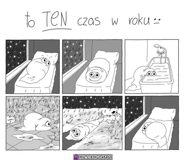 Ten czas w roku