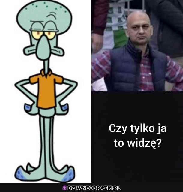 Podobni?