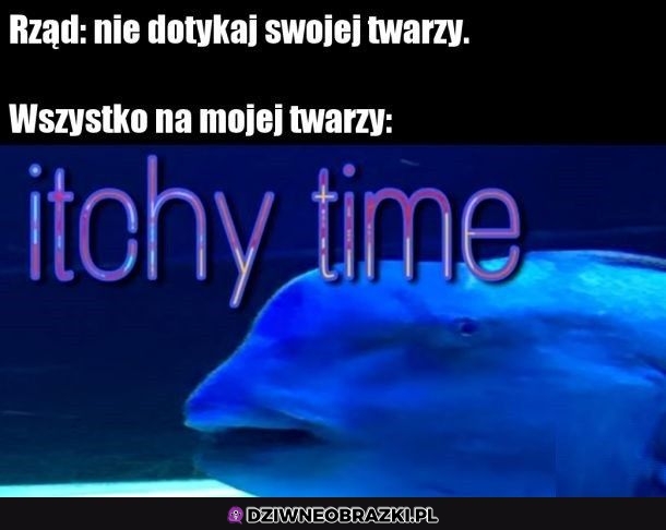 Ten moment