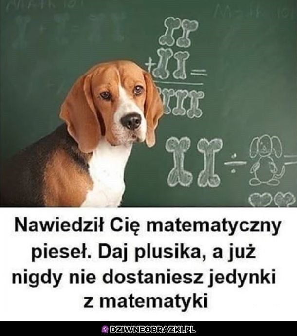 No daj mu