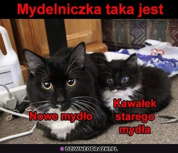 Mydełko takie jest