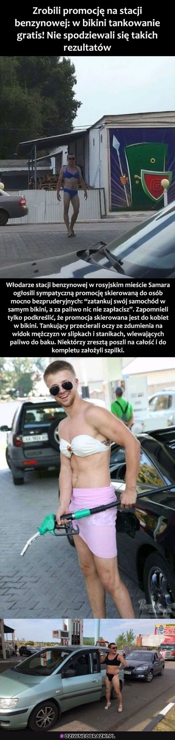 Ogarneli temat