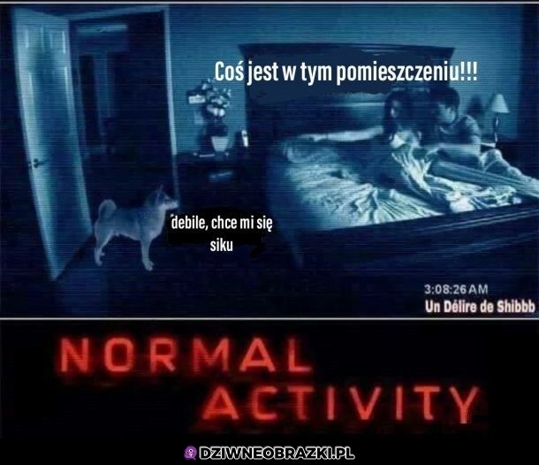 Activity