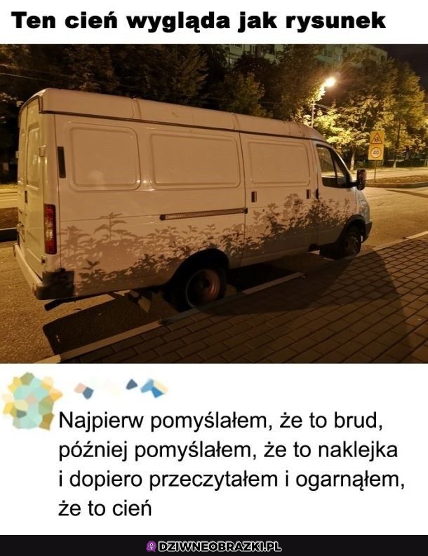 Bez kitu