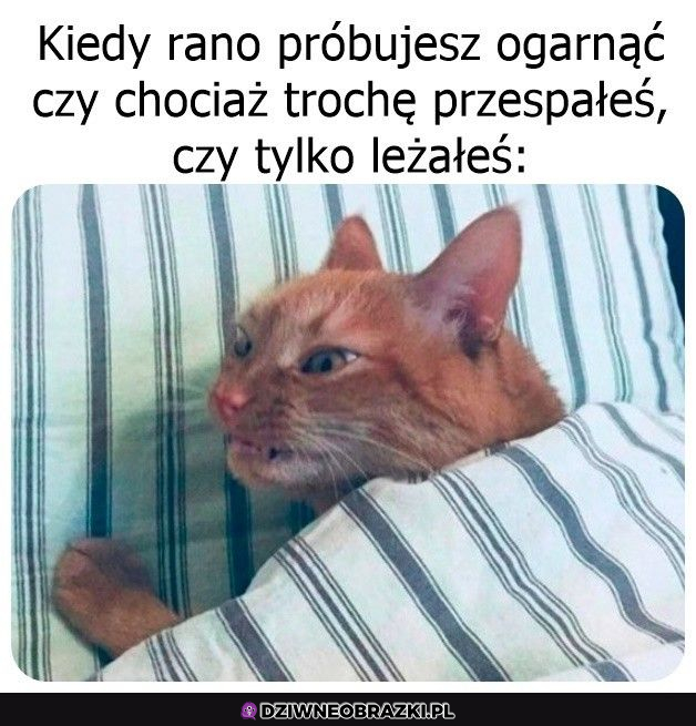 Ciężkie ogarnięcie