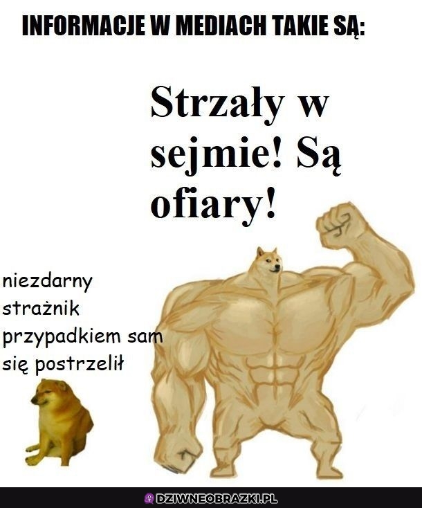 Ech te nagłówki
