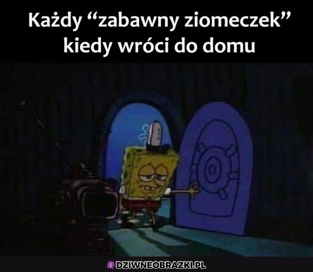Zabawne ziomeczki