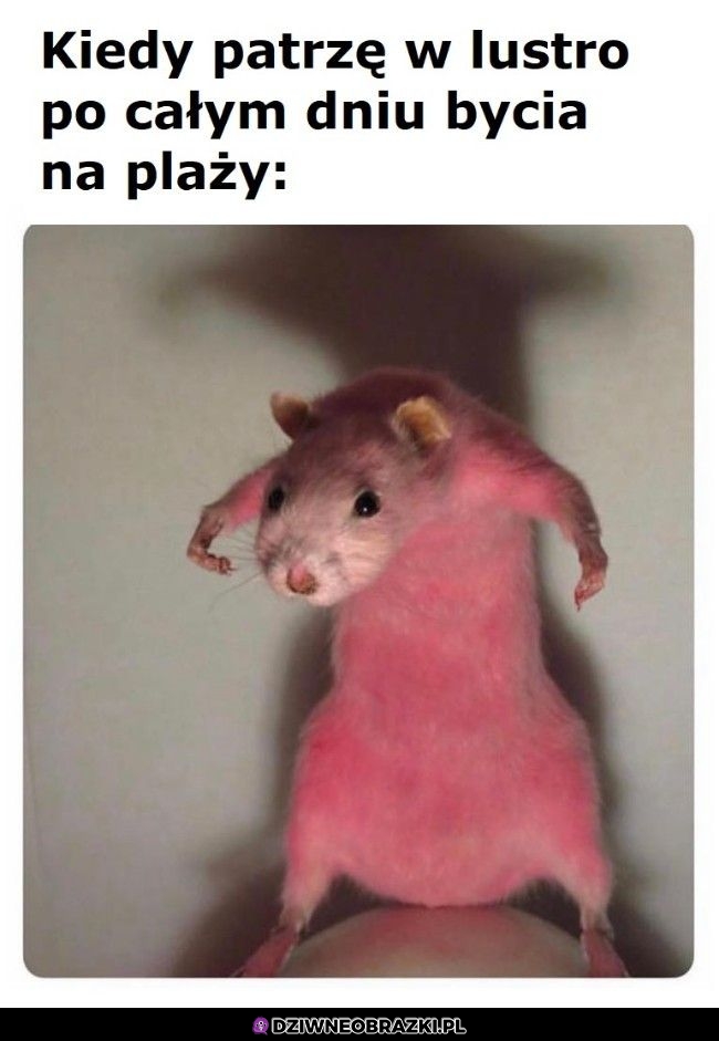 Spojrzenie w lustro po dniu na plaży