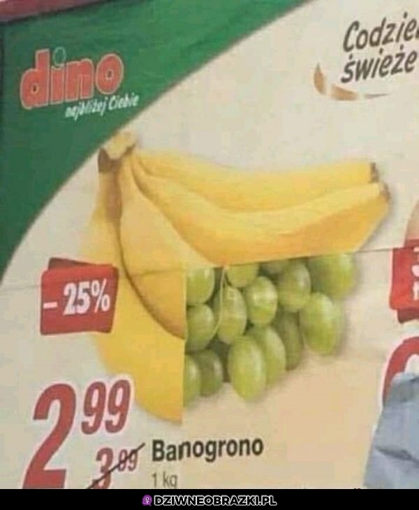 Wszędzie to GMO