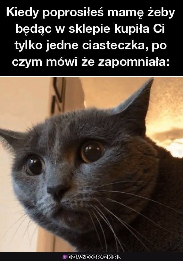 Ten moment