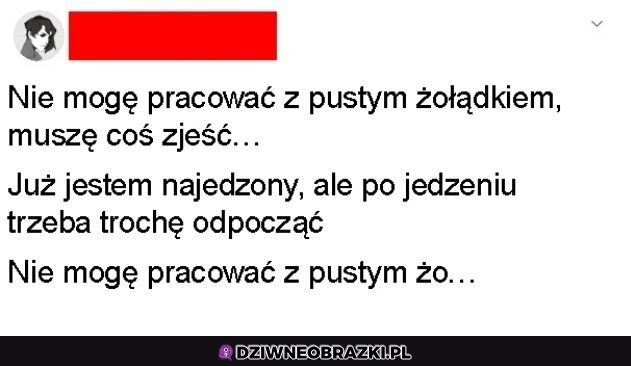 Błędne koło