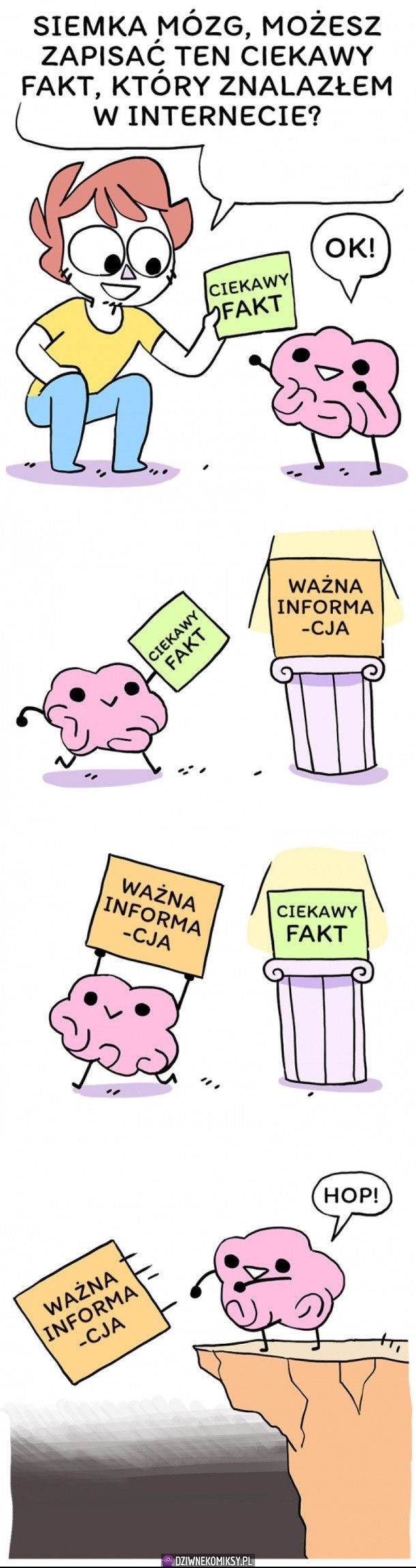 Mózg za każdym razem