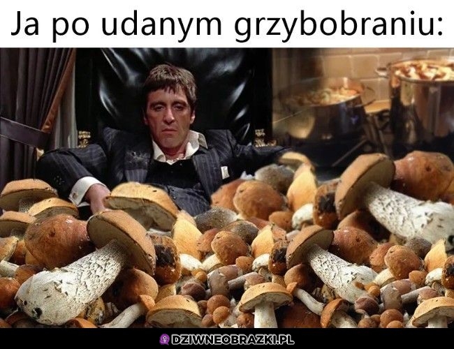 I tak się żyje