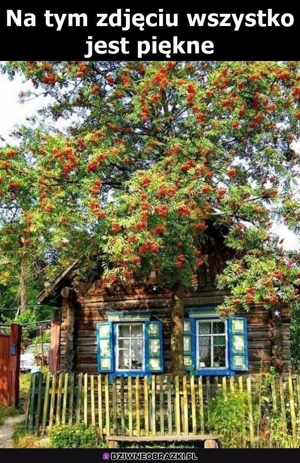 Definicja sielanki Definicja sielanki