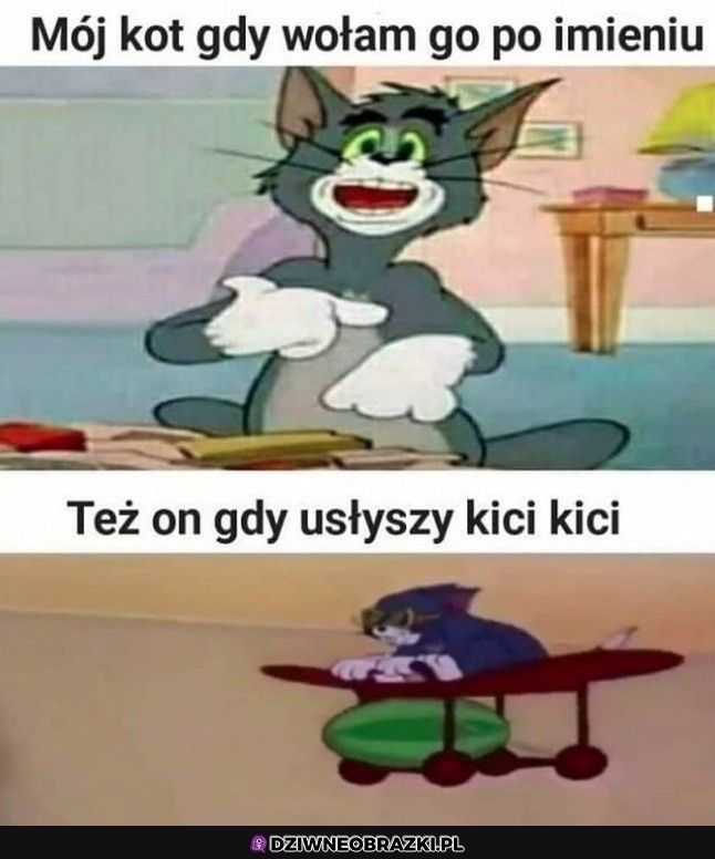 Wołanie kitku