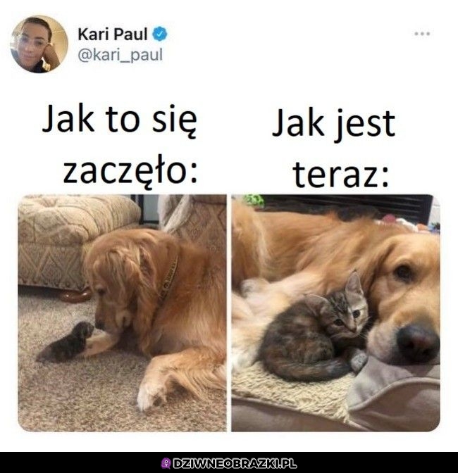 No i super