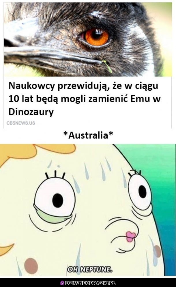 Australia