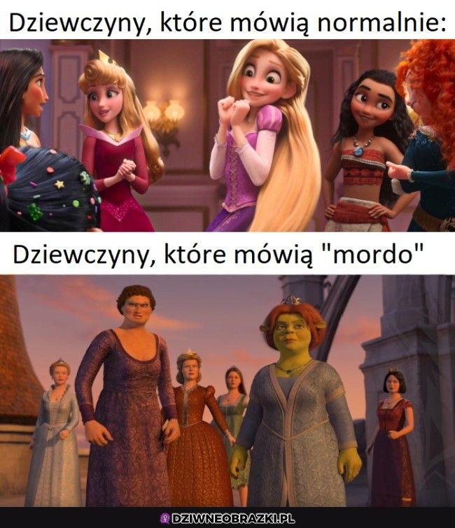 Albo byku