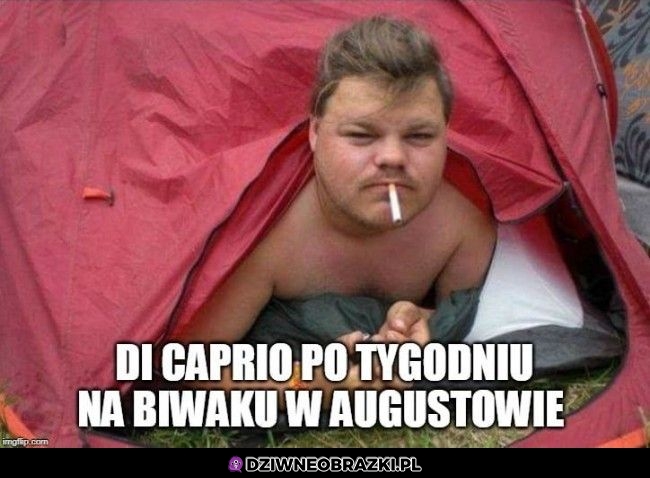Biwaki niszczą