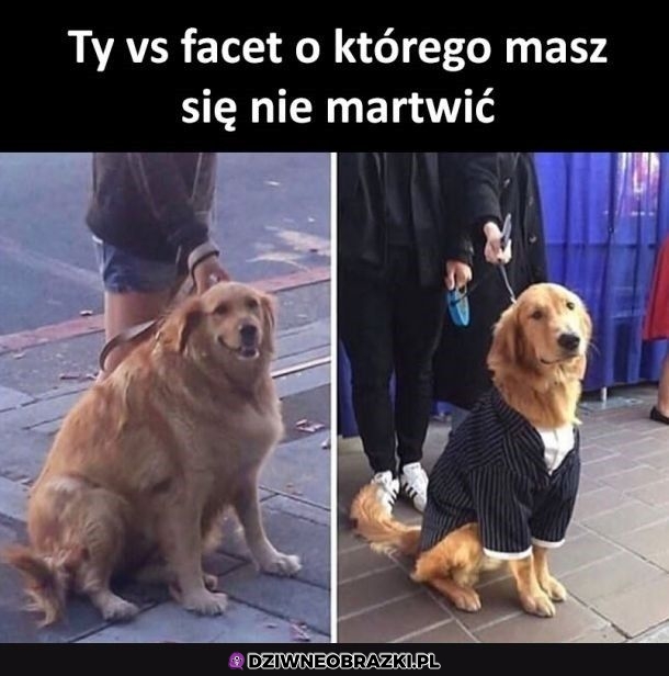 Tak to wygląda