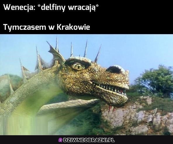 Wielkie powroty
