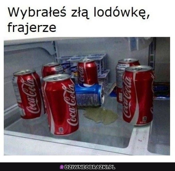 Zła lodówka ziomek