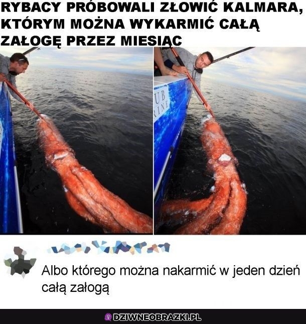 Kalmarek