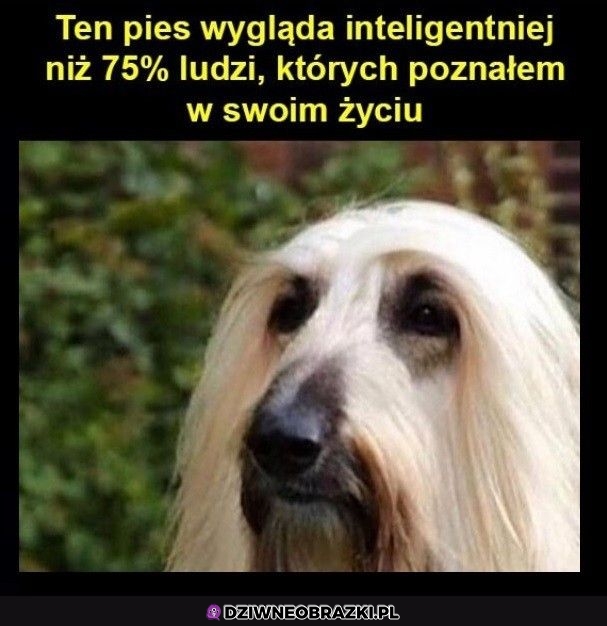 Sarumaneł