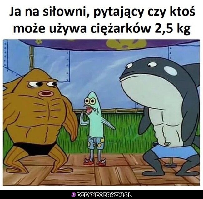 Ja na siłowni