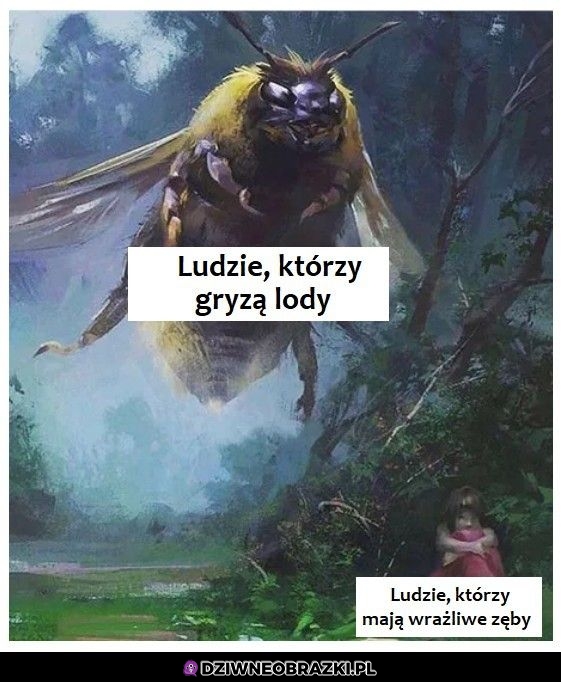 Gryzienie lodów