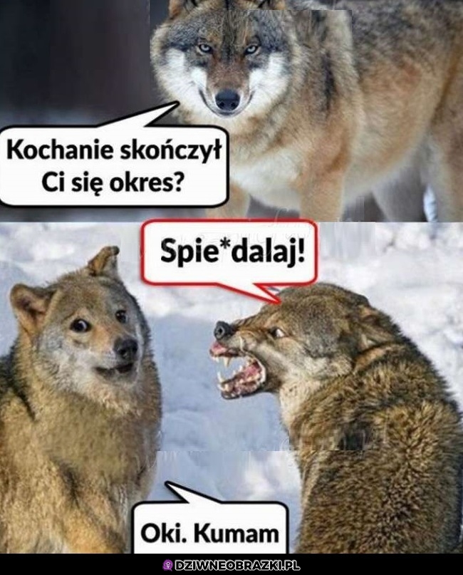 W okresie