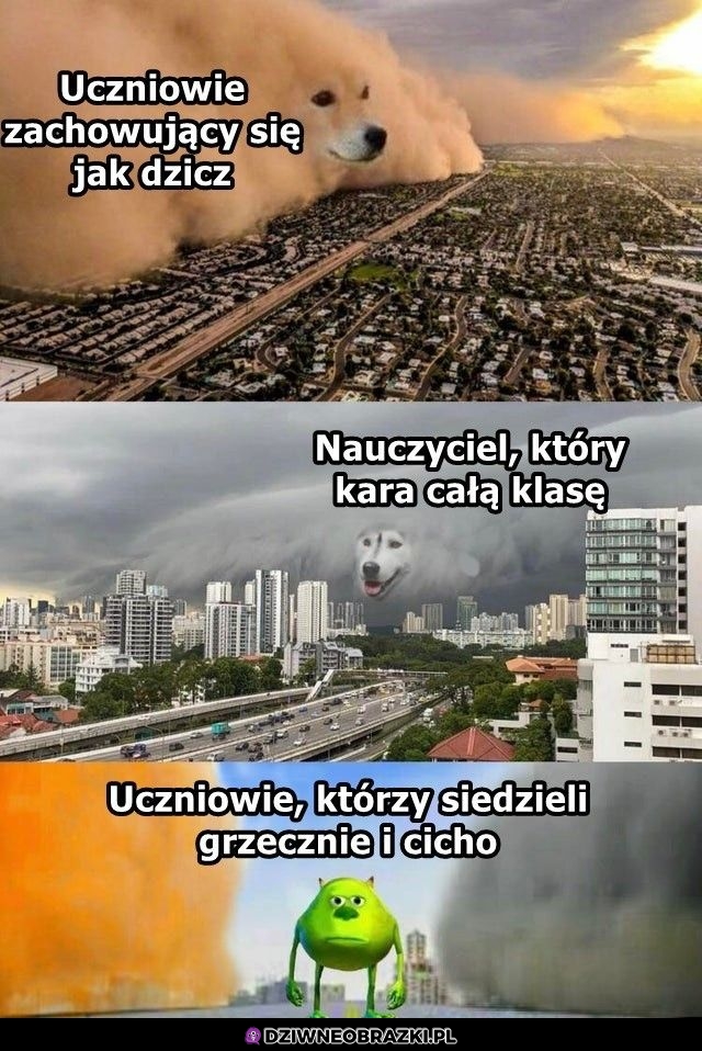 W potrzasku