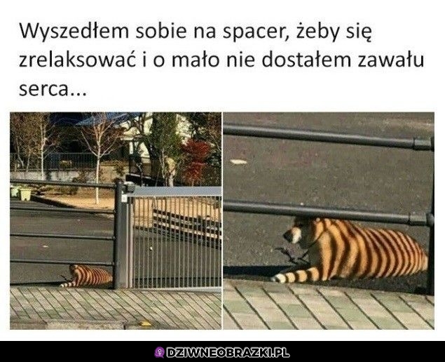 A kto to tam się czai?