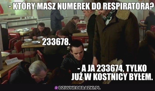 Który masz numerek?