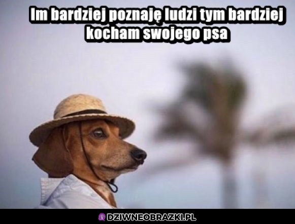 To prawda