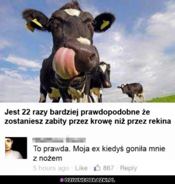 Prawdopodobieństwo