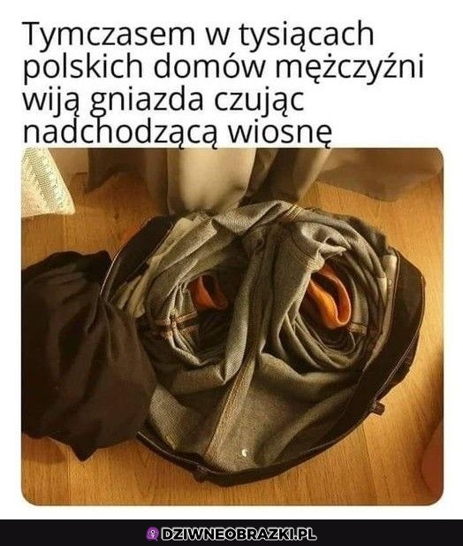 A jak u was?