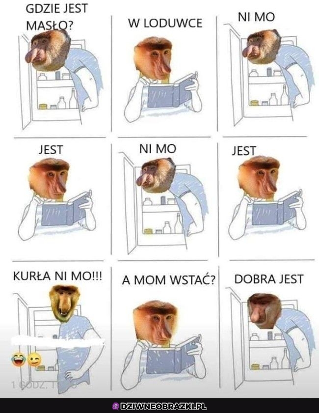 Gdzie łono jest