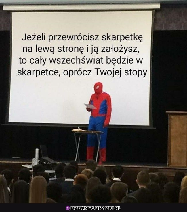 Co za opcja