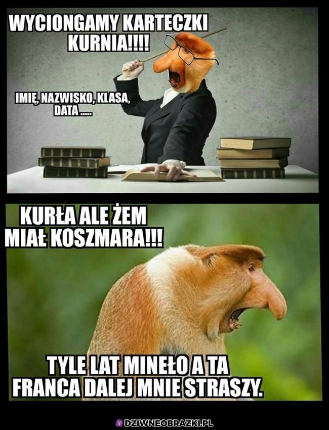 Wyciągamy karteczki!