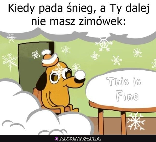 Zaskoczony kierowca