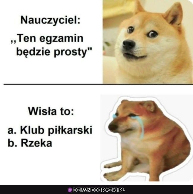 Pytanie na teście