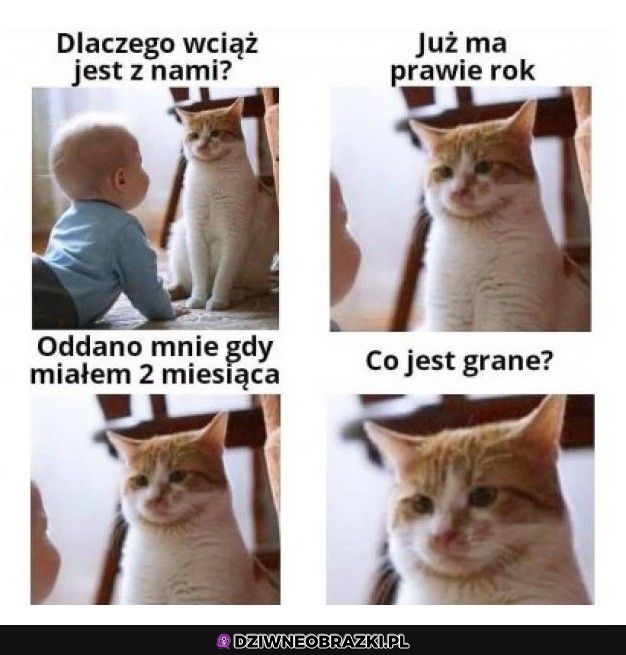 Co tu się wyrabia